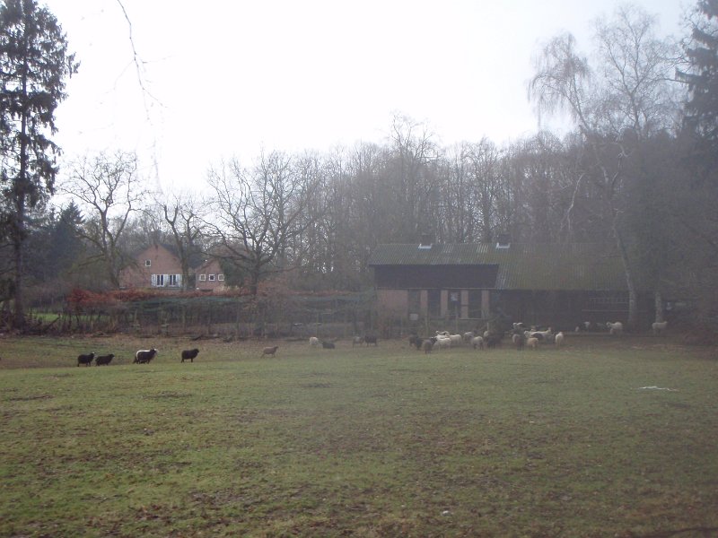 Waldtour 068